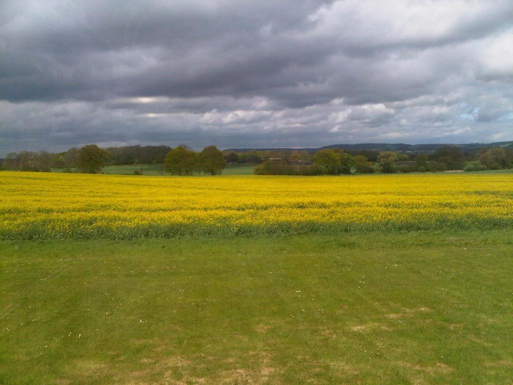 Plumpton House Hotell Ashford  Exteriör bild